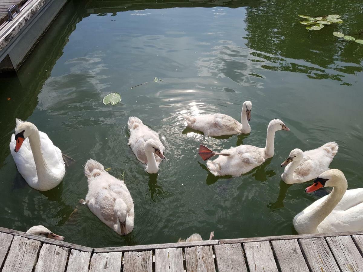 Cottage Flottant Saint Jean De Losne Option Jacuzzi Εξωτερικό φωτογραφία